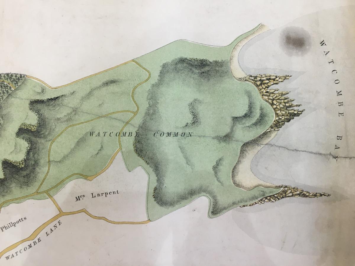 Watcombe Common was part of the estate, which was really very large.  It included the house, gardens, woods and commons.  (Devon Heritage Centre: FOR/B/6/2/247) (https://devon-cat.swheritage.org.uk/records/FOR/B/6/2/247)