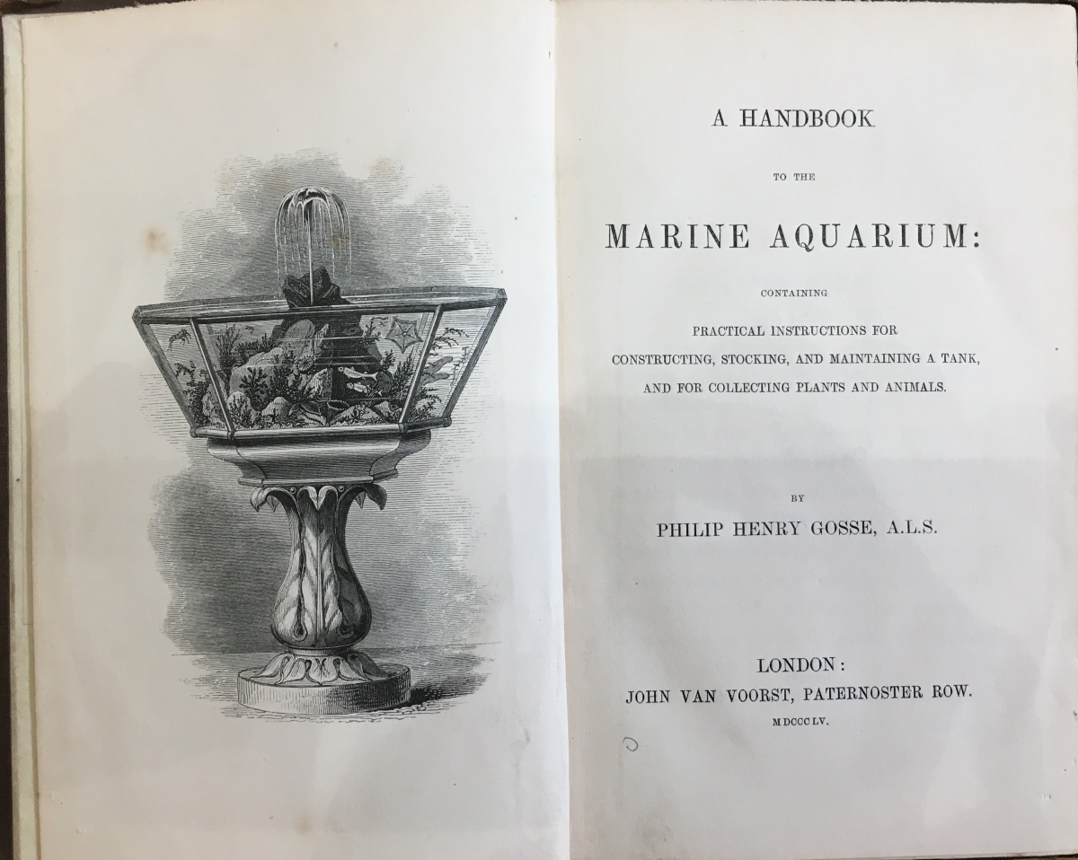 A Handbook to the Marine Aquarium, 1855.  The front page of another book Gosse wrote, this book is about fish and included the word 'aquarium', which he invented.  (Devon Heritage Centre: West Country Studies Library)